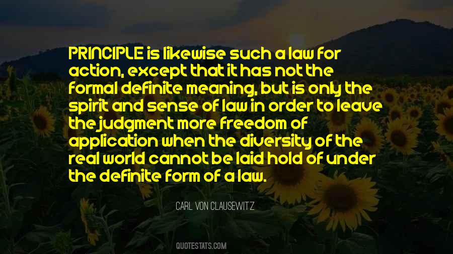 Meaning Of Freedom Quotes #22641