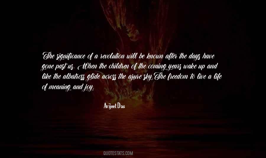 Meaning Of Freedom Quotes #570736