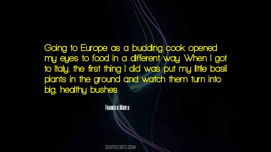 Quotes About Little And Big #177553