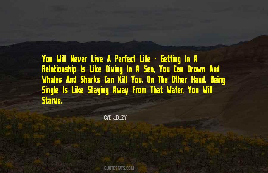 Quotes About A Perfect Life #1433716