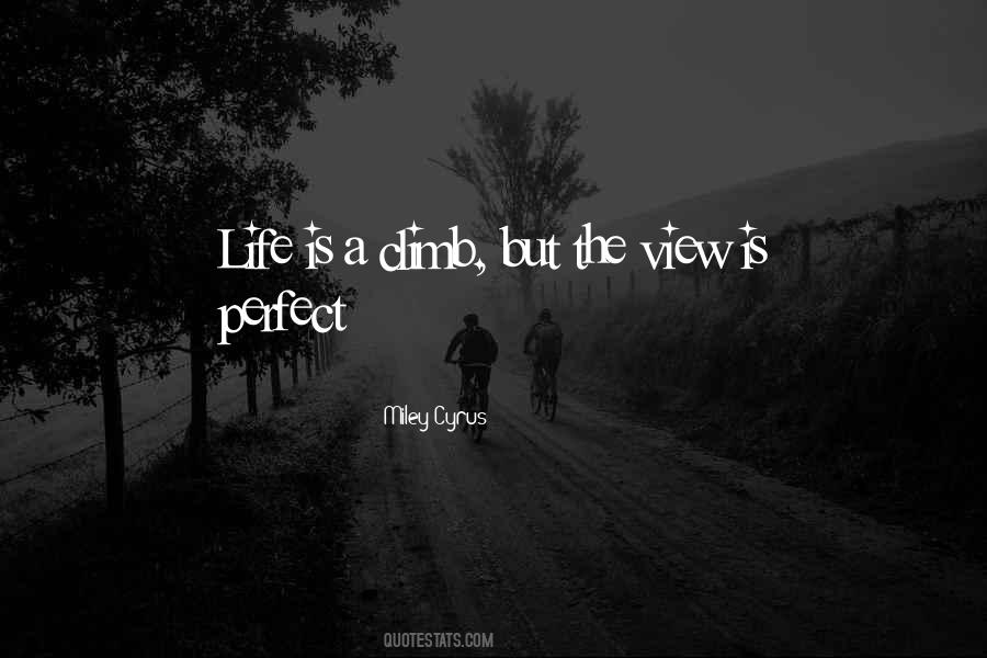 Quotes About A Perfect Life #172313