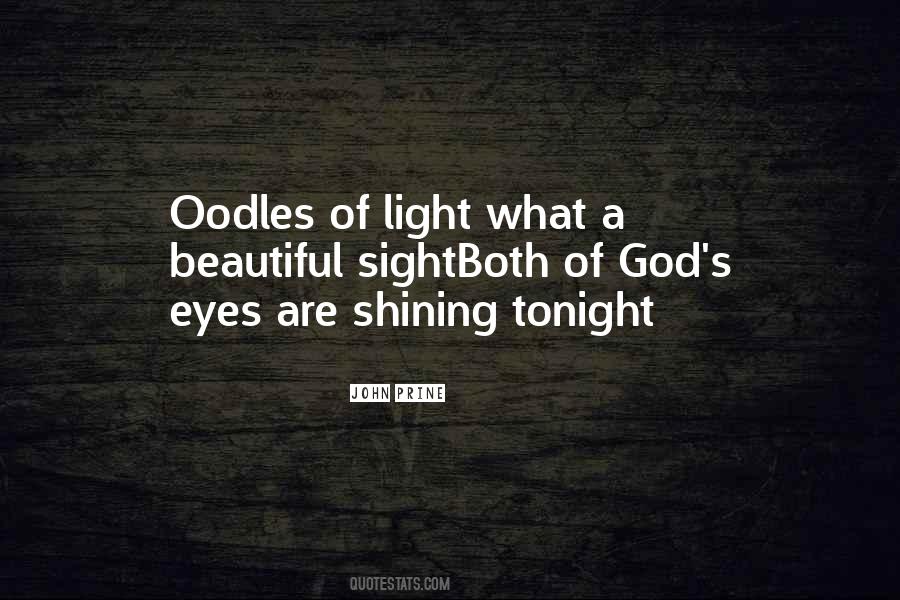 Quotes About The Light Within Us #1596