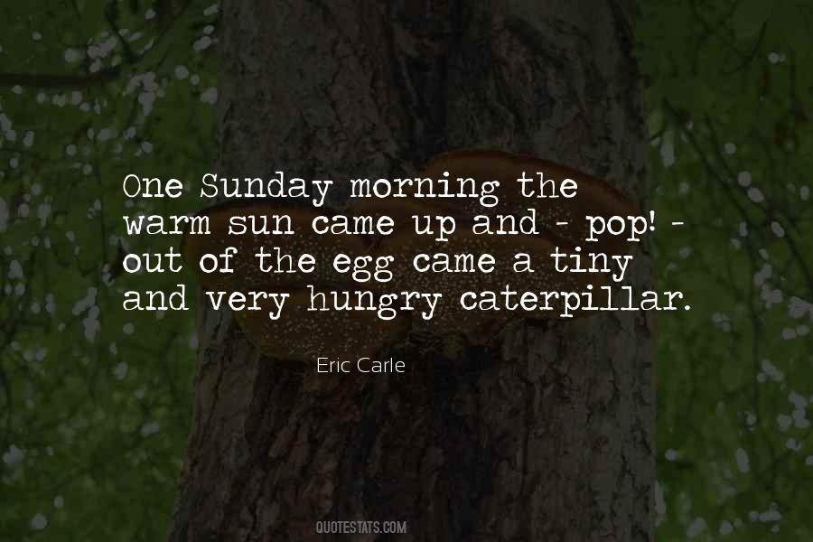 Very Hungry Caterpillar Quotes #1269409