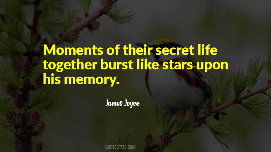 Quotes About Secret Life #755056
