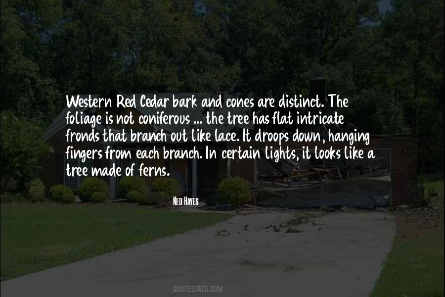 Quotes About Hanging On A Tree #1499899