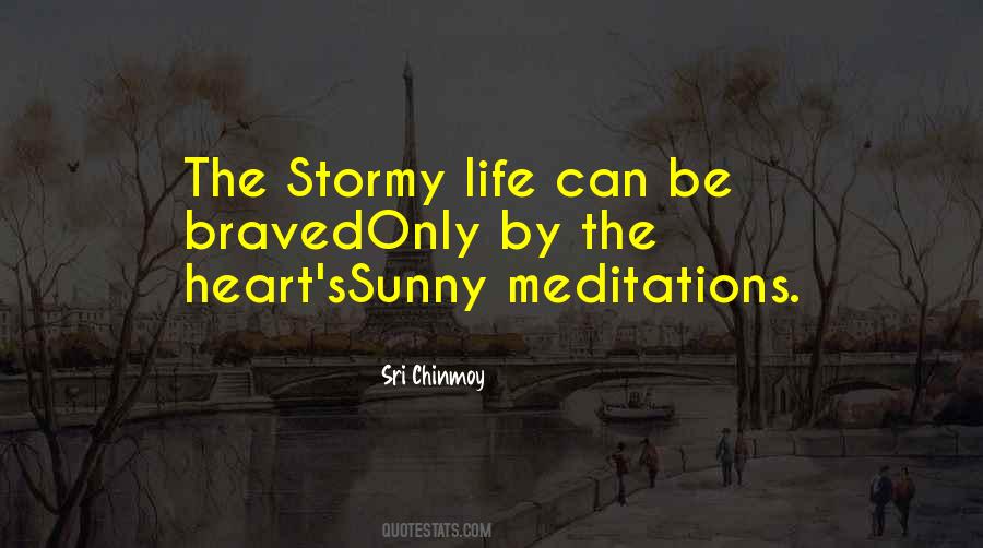 Quotes About Stormy Life #206375