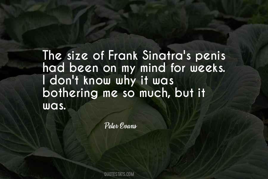 Quotes About Sinatra #1470457