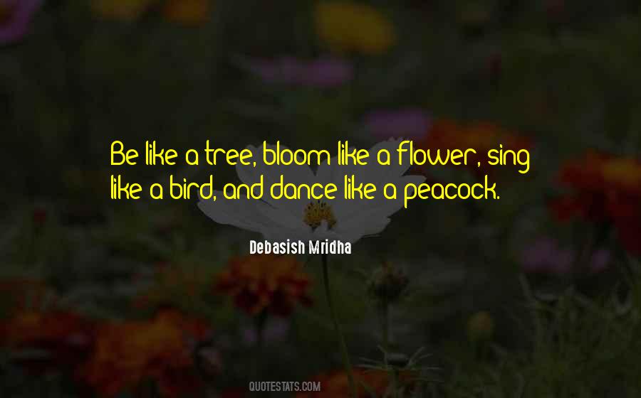 Quotes About Peacock Dance #441094