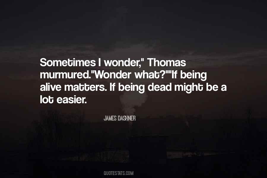 Quotes About Sometimes I Wonder #1055105