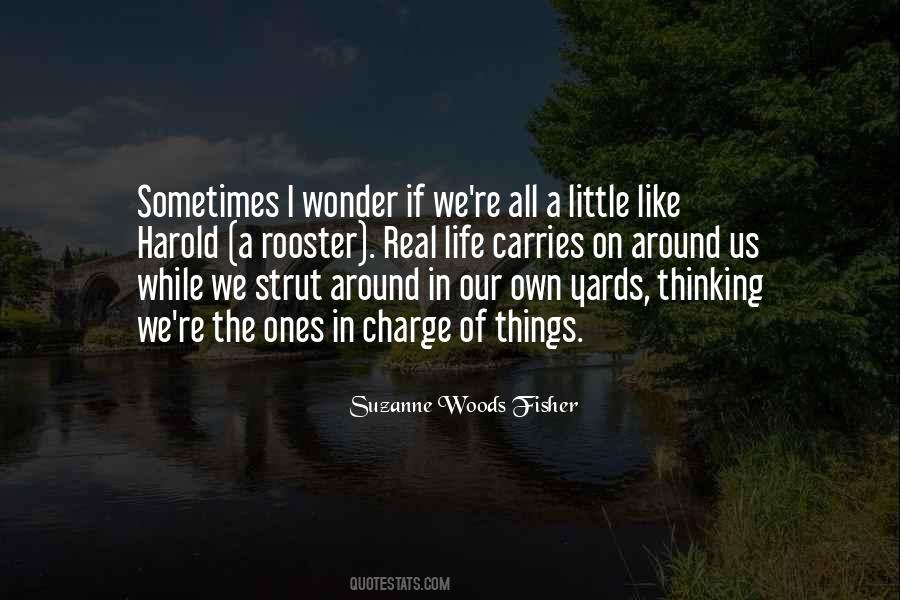 Quotes About Sometimes I Wonder #1056745