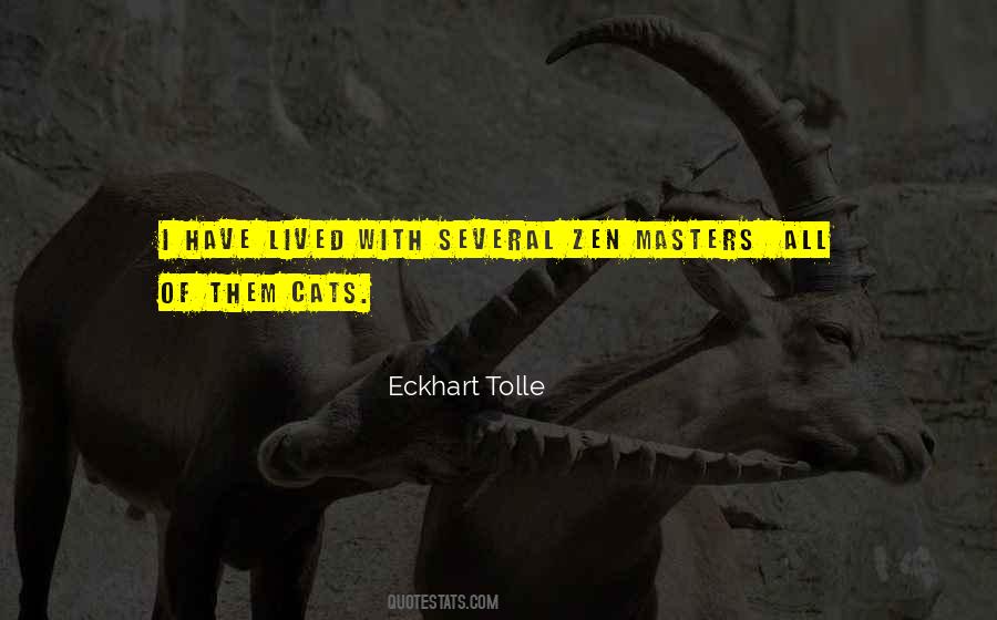 Cat Wisdom Quotes #1796352