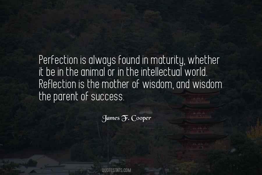 Quotes About Reflection #1603839