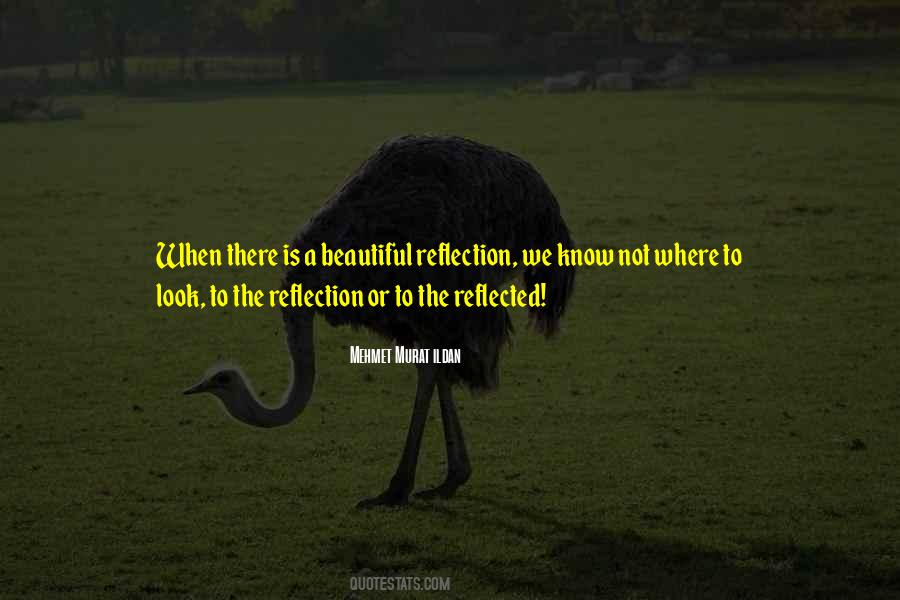 Quotes About Reflection #1620170