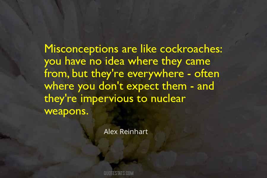 Quotes About Misconceptions #389302