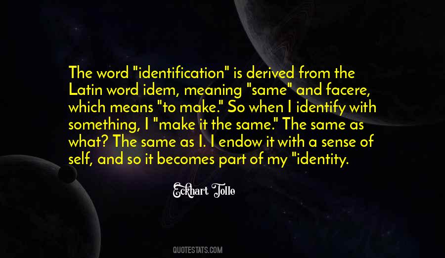 Quotes About Self Identification #334636
