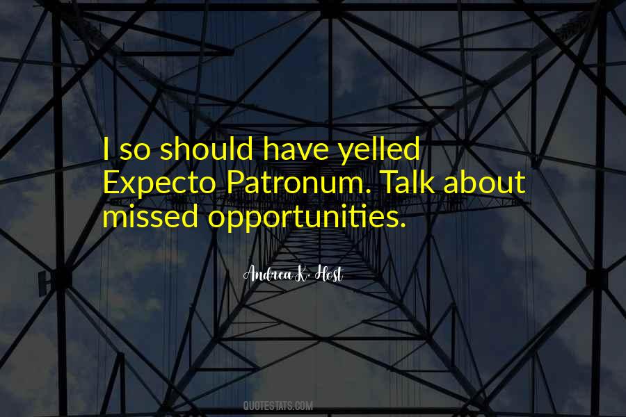 Quotes About Missed Opportunities #913195