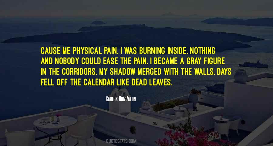 Quotes About Physical Pain #1487763