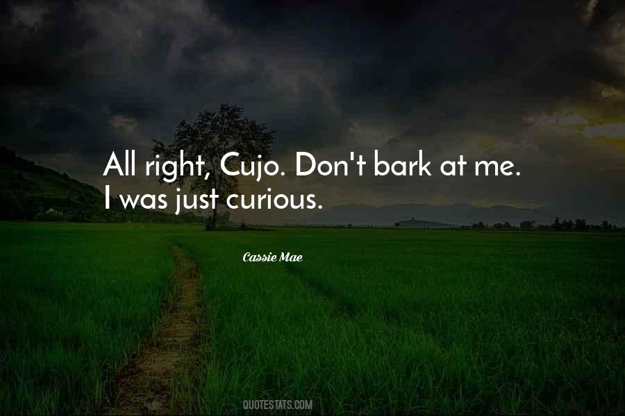 Quotes About Curious #1555791