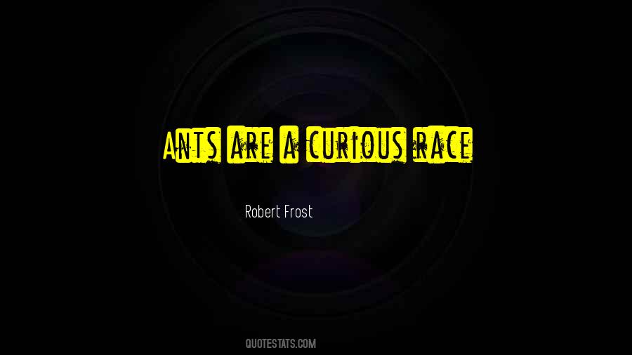 Quotes About Curious #1628646