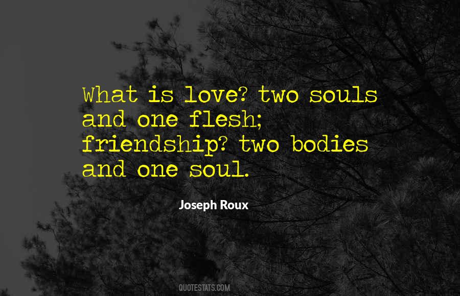One Soul In Two Bodies Quotes #1709332