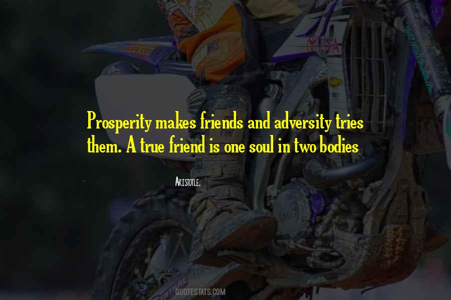 One Soul In Two Bodies Quotes #639702
