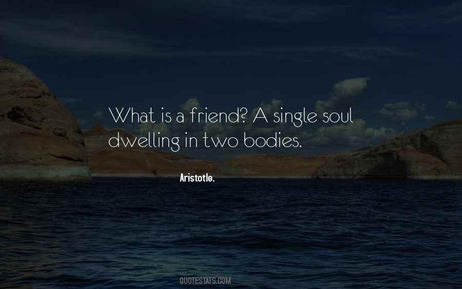 One Soul In Two Bodies Quotes #860615