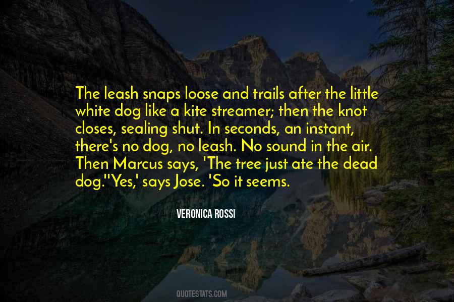 Tree Knot Quotes #1046227