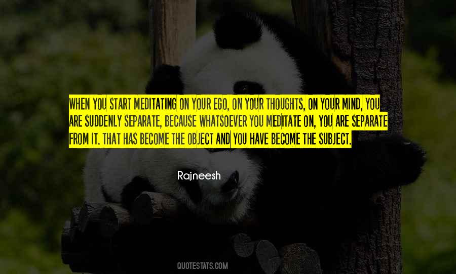 Quotes About Serendipity And Love #1223154