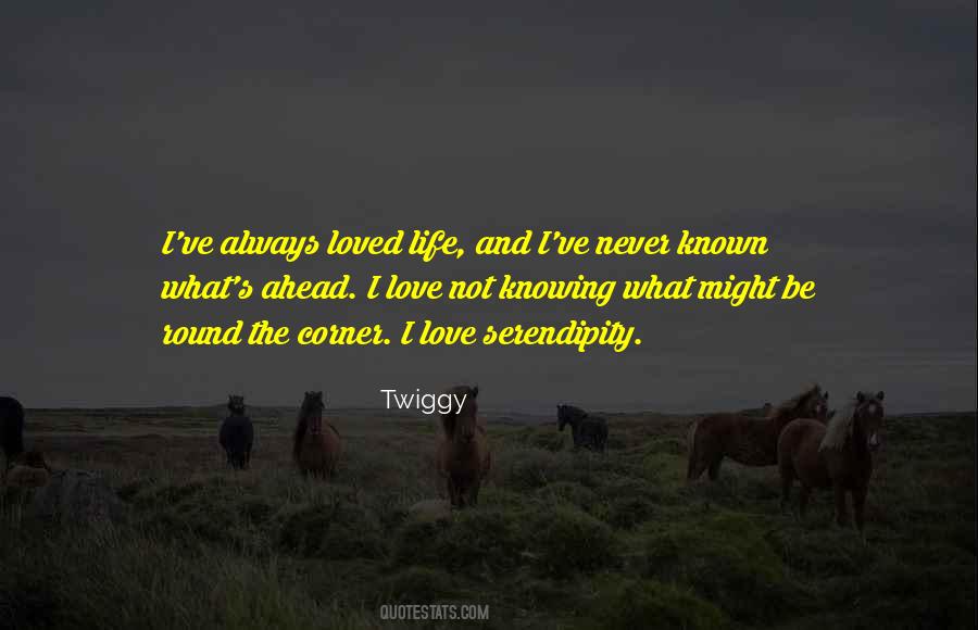 Quotes About Serendipity And Love #1871052