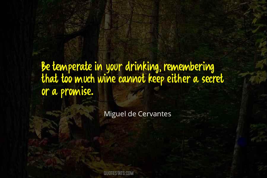 Quotes About Drinking Too Much Wine #618770