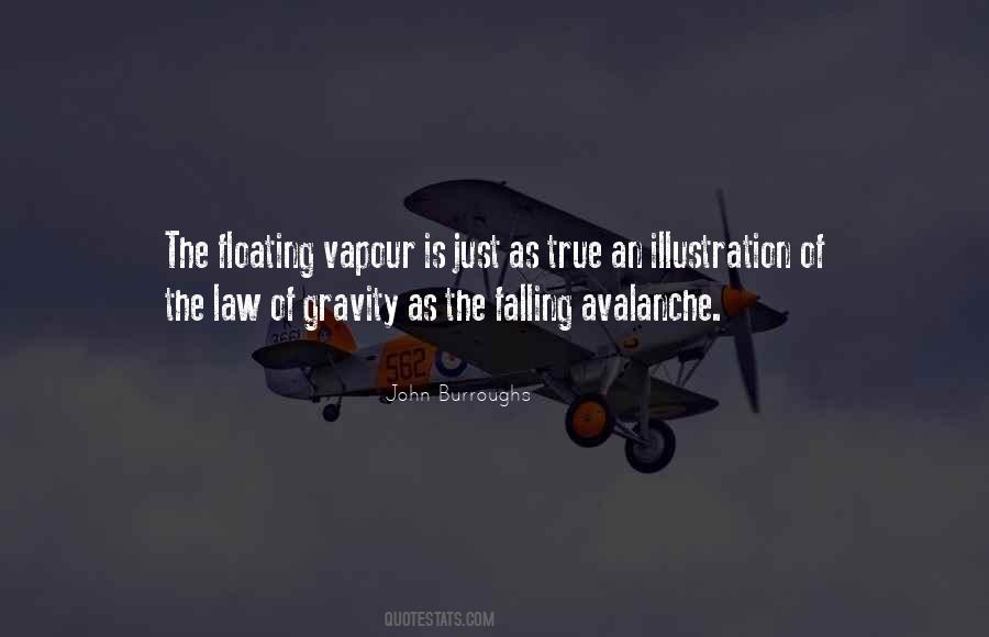 Quotes About Law Of Gravity #1412256