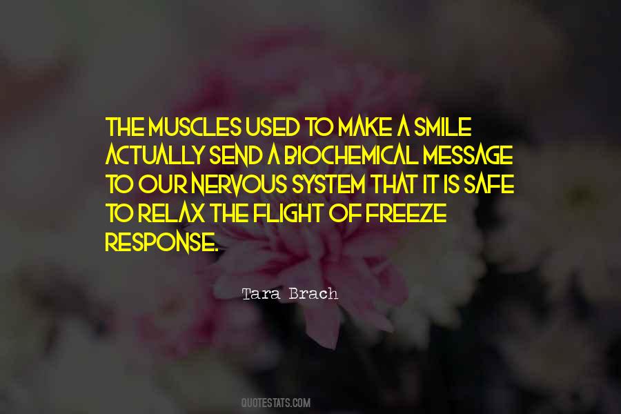 Quotes About Safe Flight #1563917