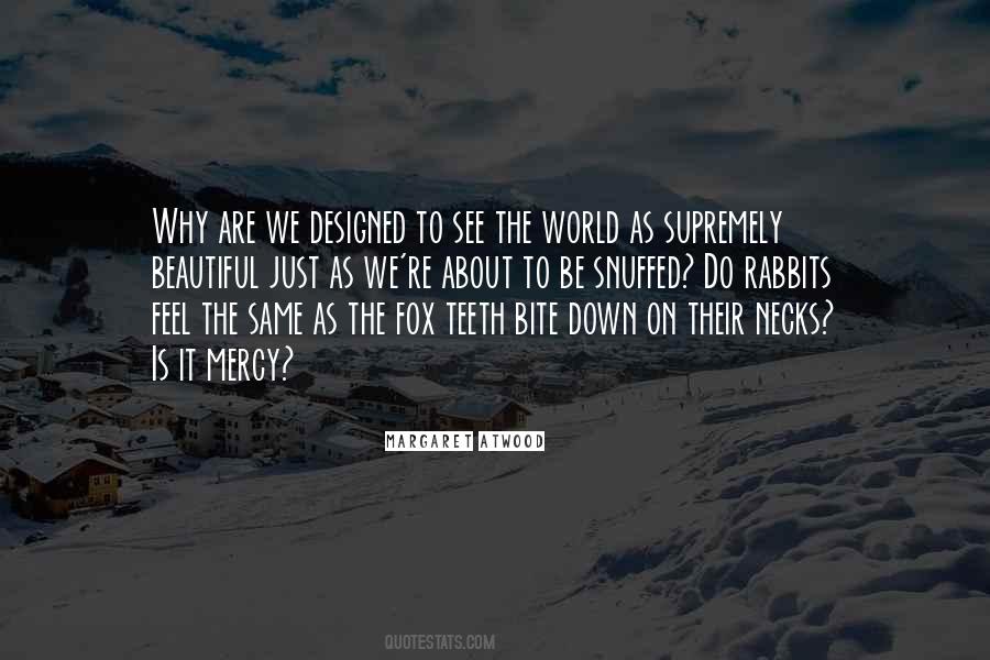 Why We Fight Quotes #1499070