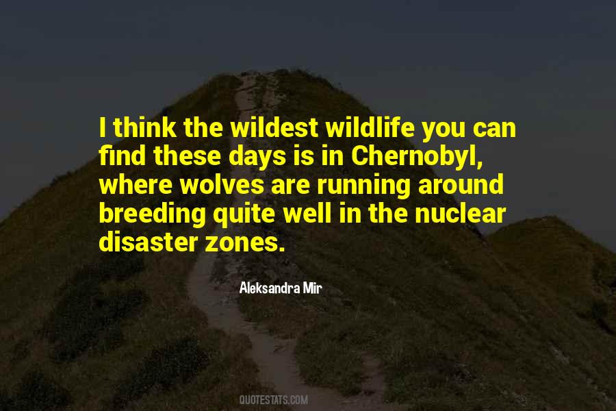 Quotes About Disaster #1732047