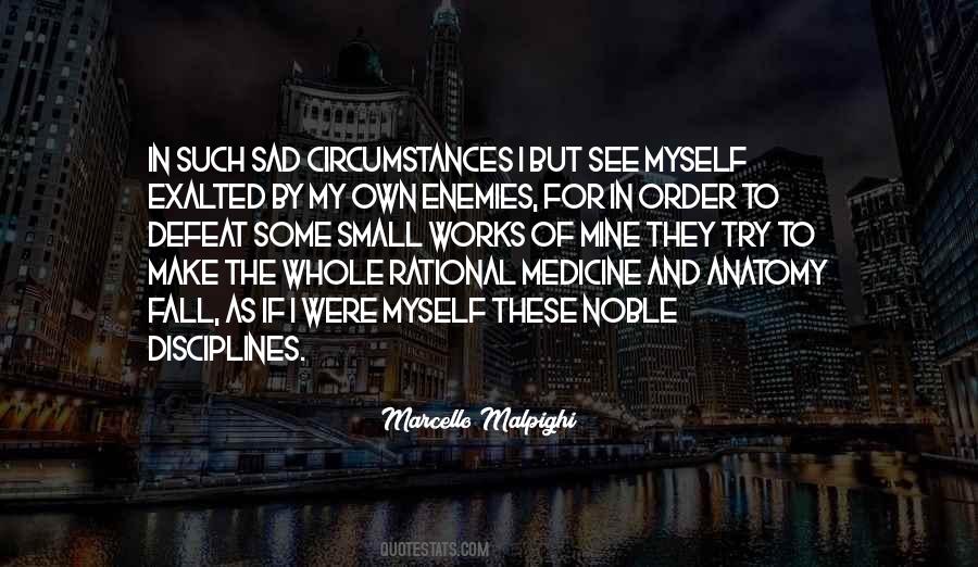 Quotes About Your Enemies Defeat #681627