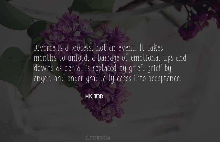 Grief Process Quotes #1343324