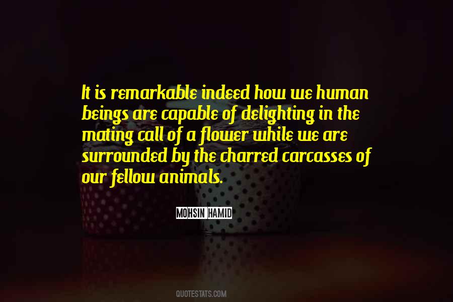 We Are Human Beings Quotes #40802