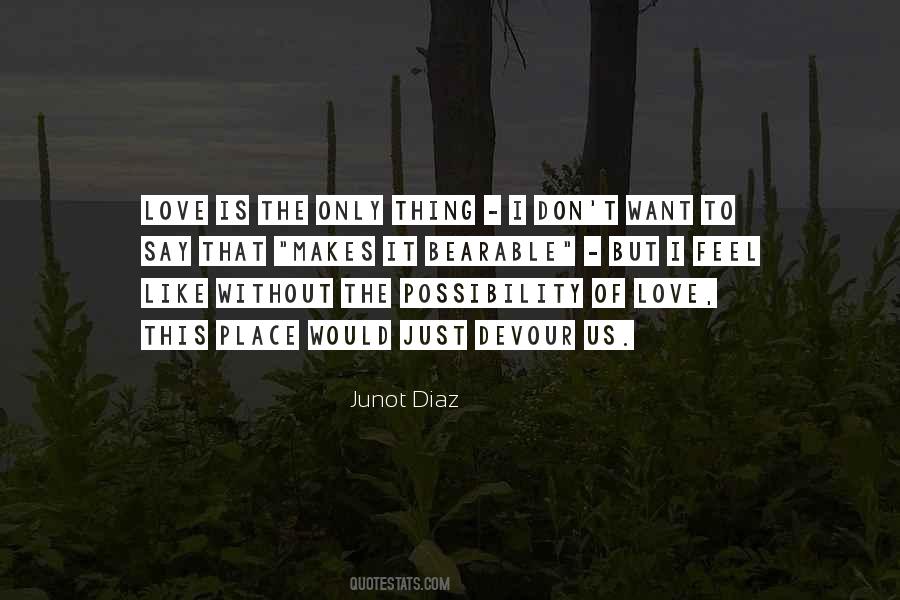 Love Possibility Quotes #973479