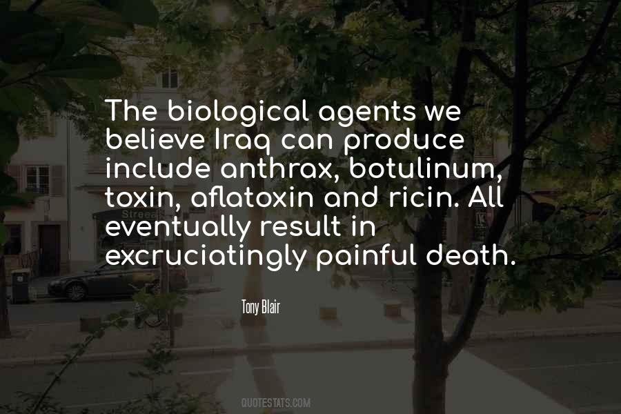 Excruciatingly Painful Quotes #1153885