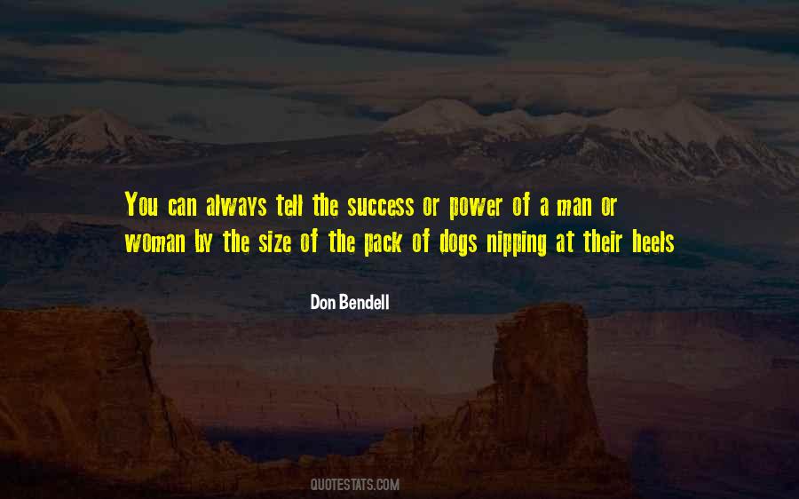 Success Of A Man Quotes #373869