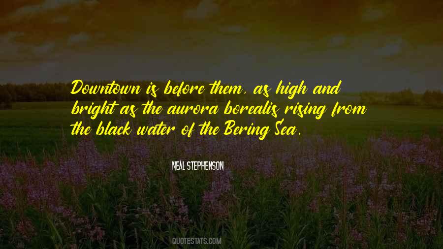 Black Water Quotes #211563