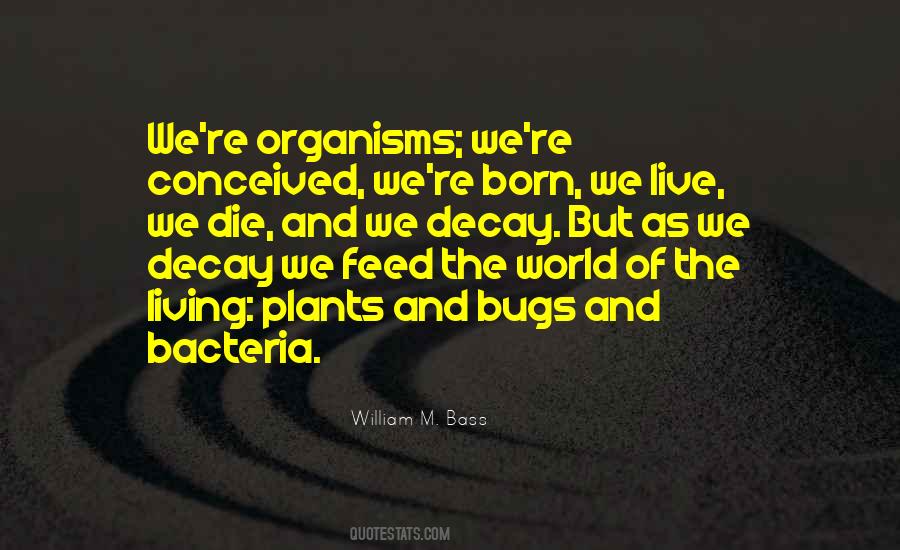 Catholic Church Today Quotes #1366554