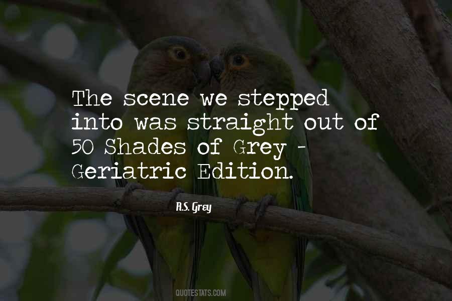 Quotes About Shades Of Grey #892385