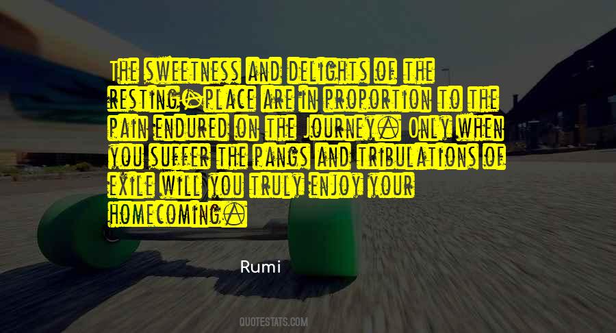 Quotes About Enjoy The Journey #1191855