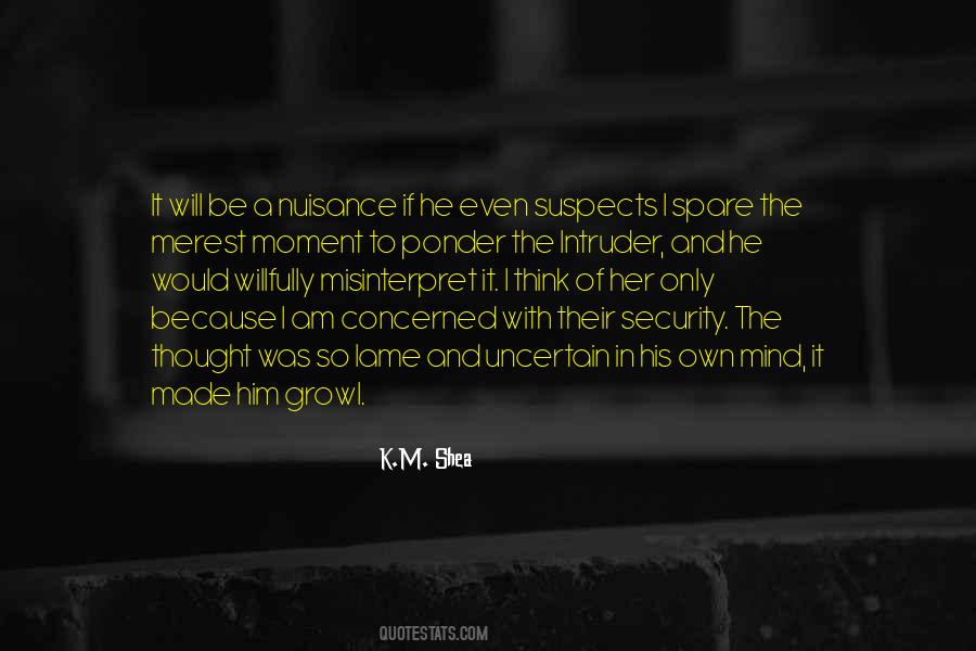 Quotes About Security #1694
