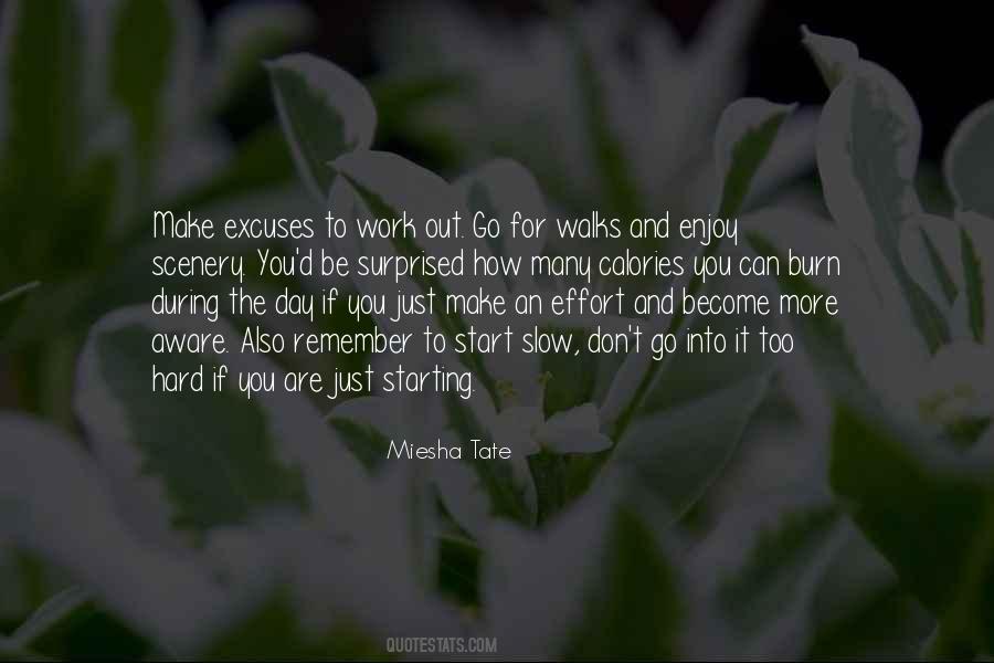 Quotes About Hard Work And Effort #1365912