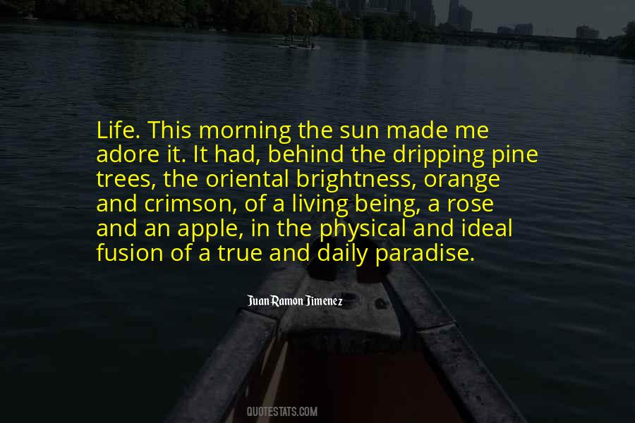 A Sunrise Quotes #66374
