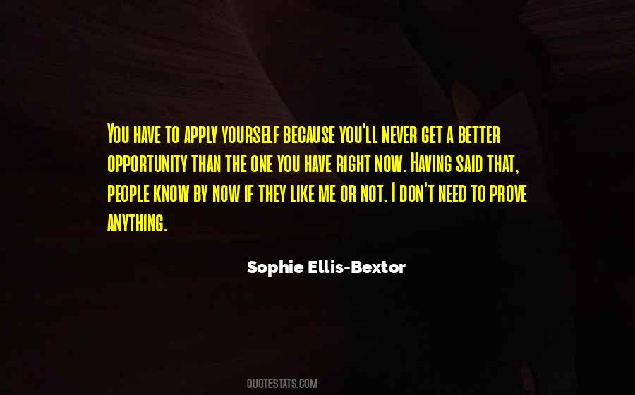 Quotes About Having To Prove Yourself #1221377