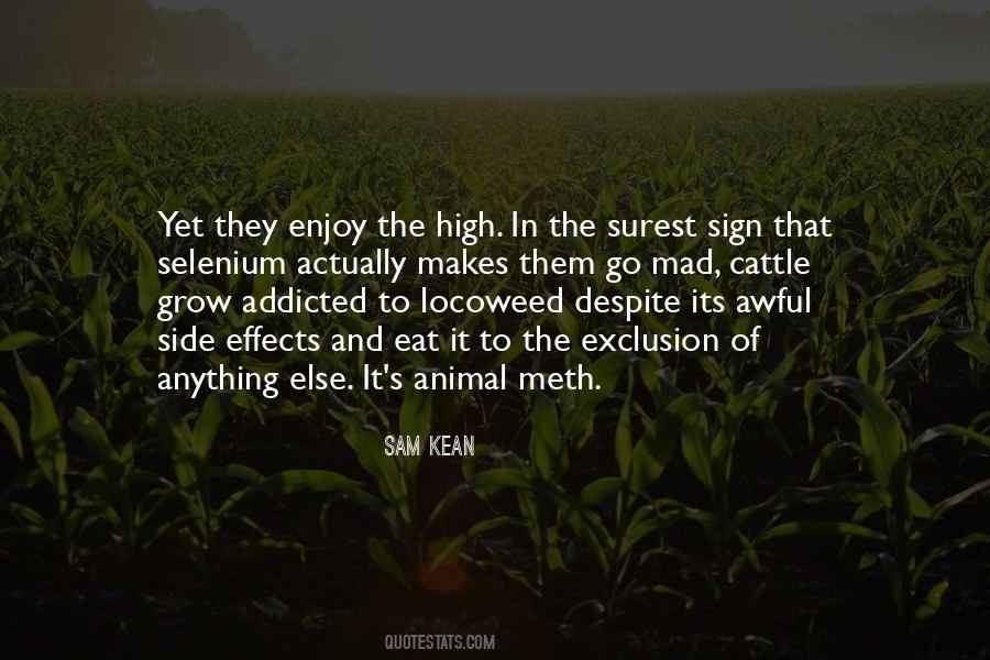 Eat And Enjoy Quotes #1251916
