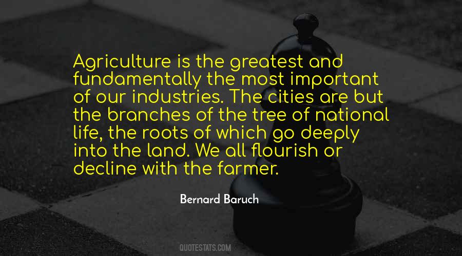 Quotes About Roots And Branches #150176